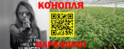 стафф Лесосибирск