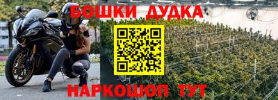 стафф Лесосибирск