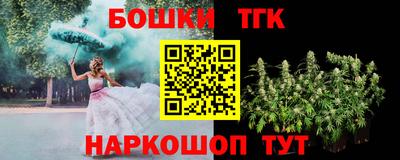 стафф Лесосибирск